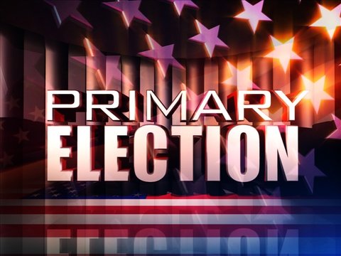 GenericPrimaryElection2014