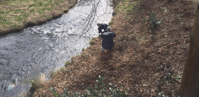 screenshot-1494348823-82