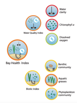 screenshot-1494958808-29