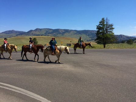 leading the line by Allison Smith