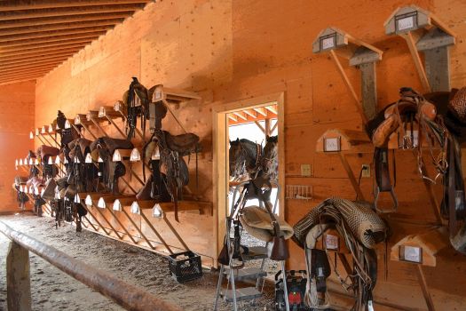 saddle chute by michael